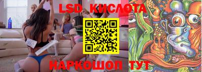 стаф Будённовск