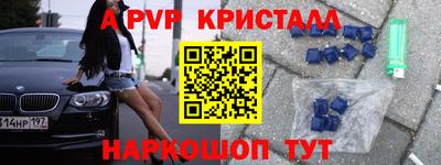 стаф Будённовск