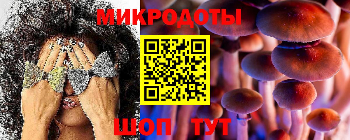 Североморск  Псилоцибиновые грибы Psilocybine cubensis  Вход с VPN 